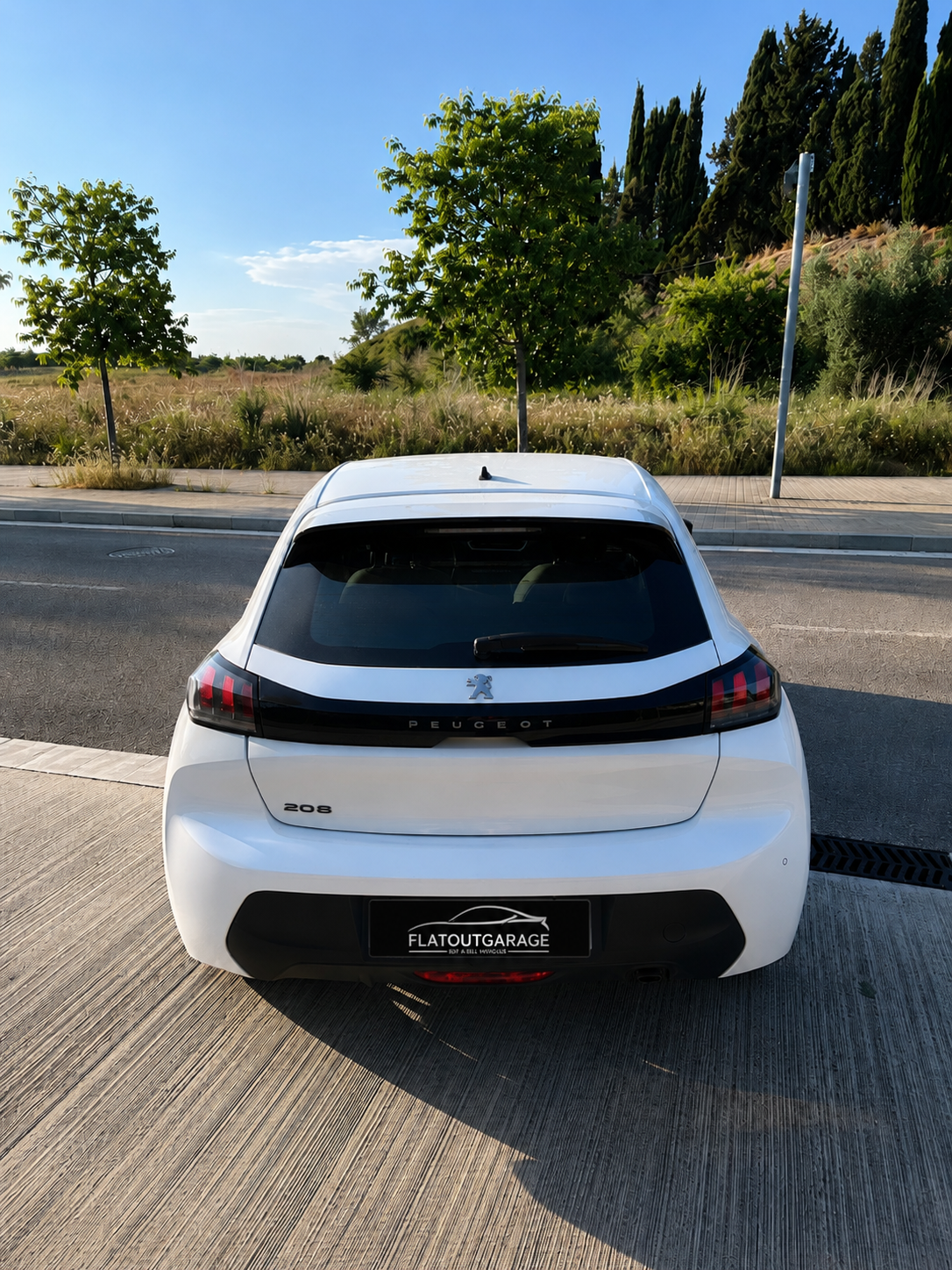
								Peugeot 208 full									