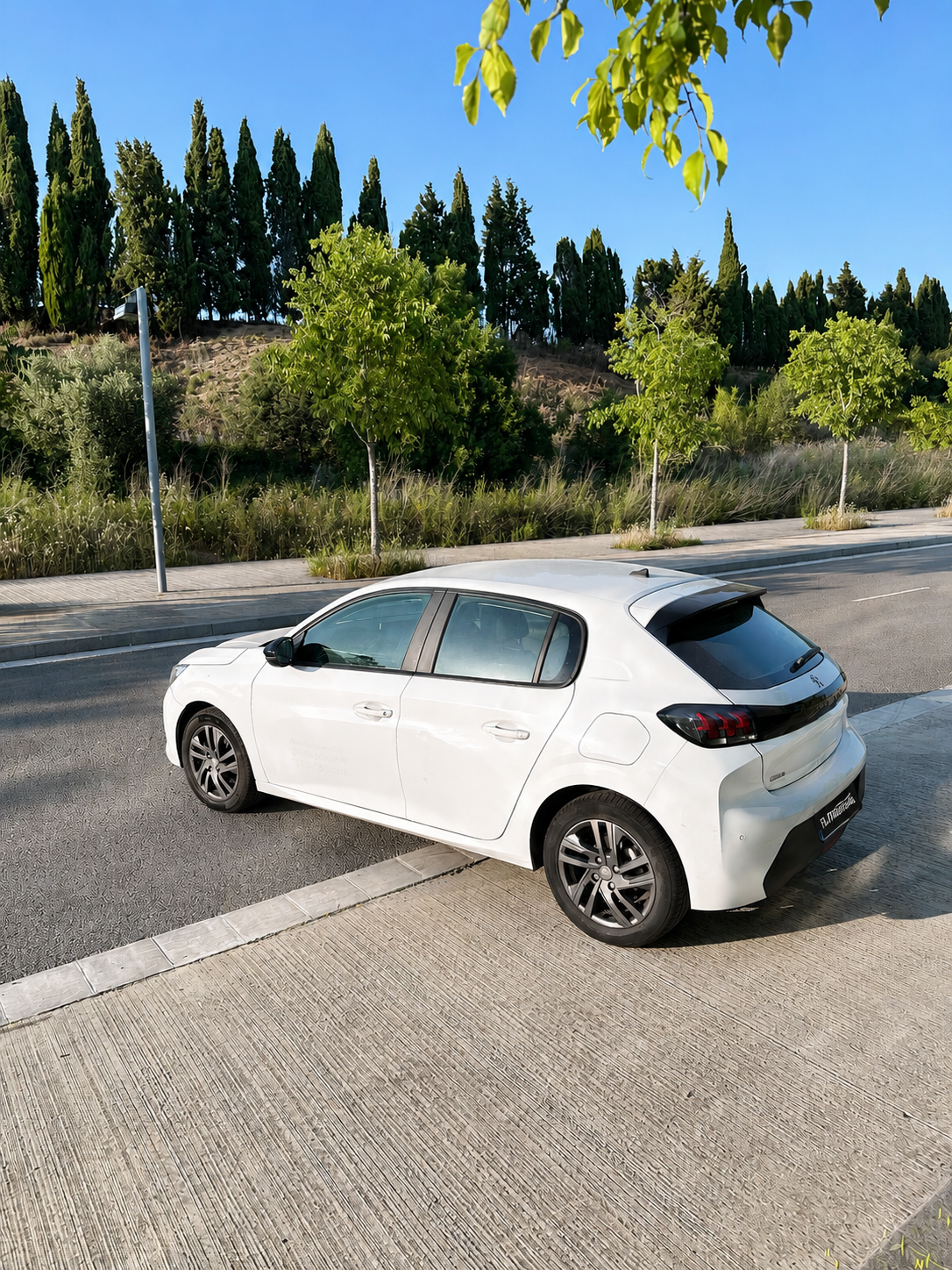 
								Peugeot 208 full									